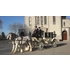 Staunton Wedding Carriages image